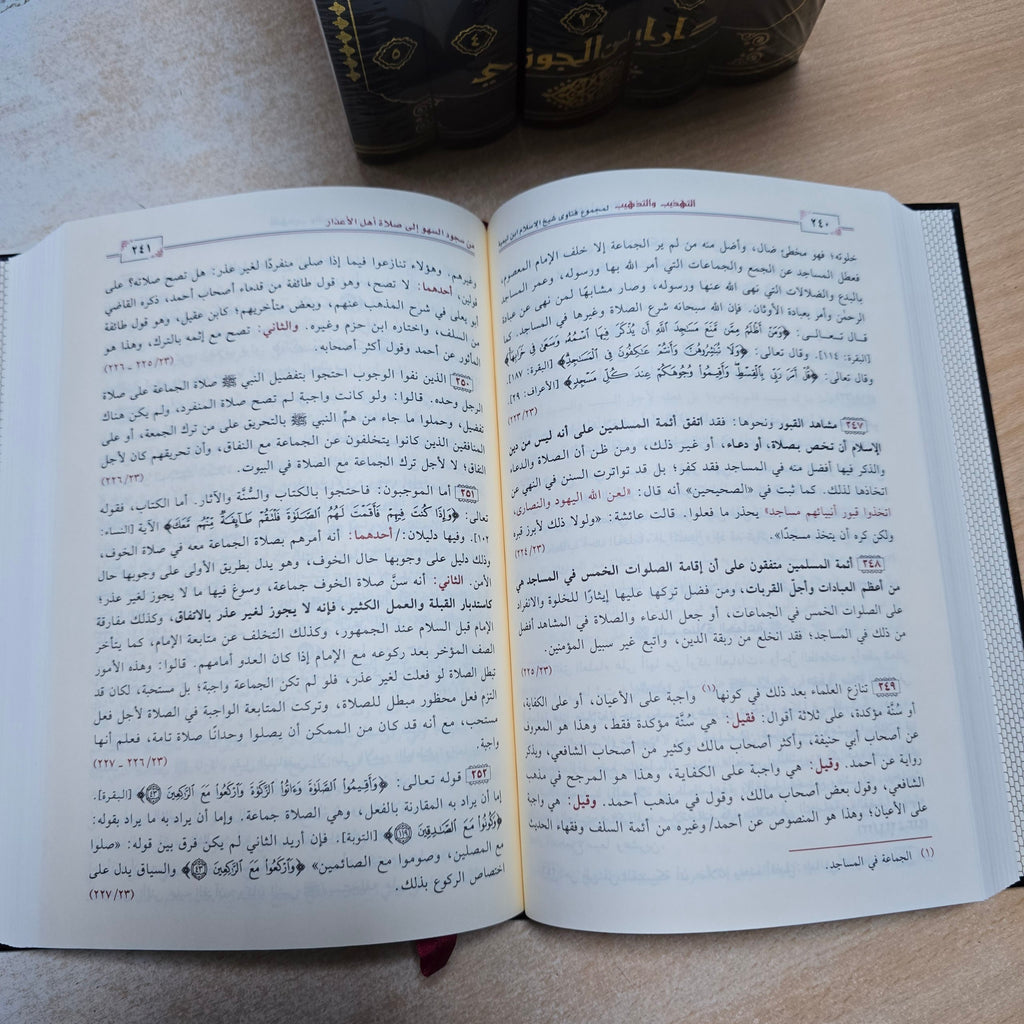 التهذيب والتذهيب لمجموع فتاوى شيخ الإسلام ابن تيمية - دار ابن الجوزي